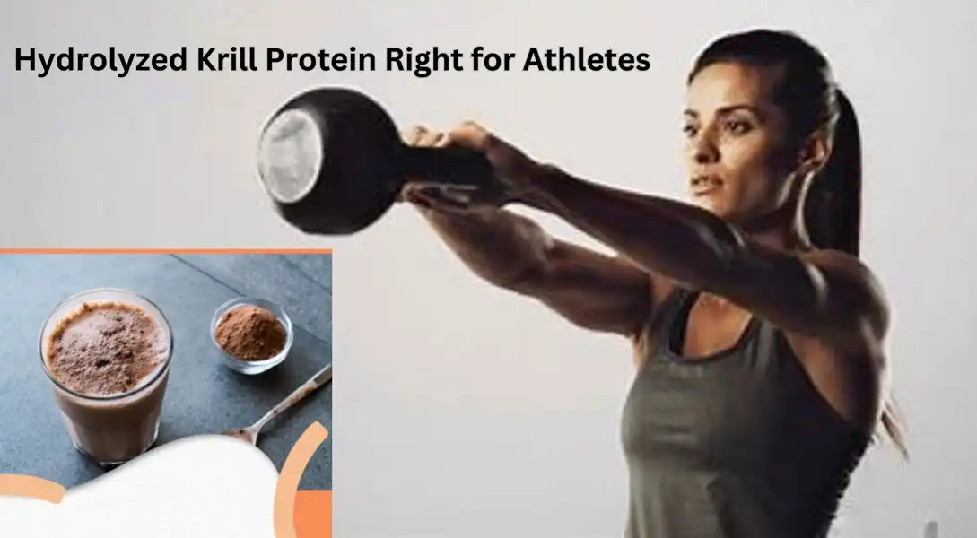 Is Hydrolyzed Krill Protein Right for Athletes?
